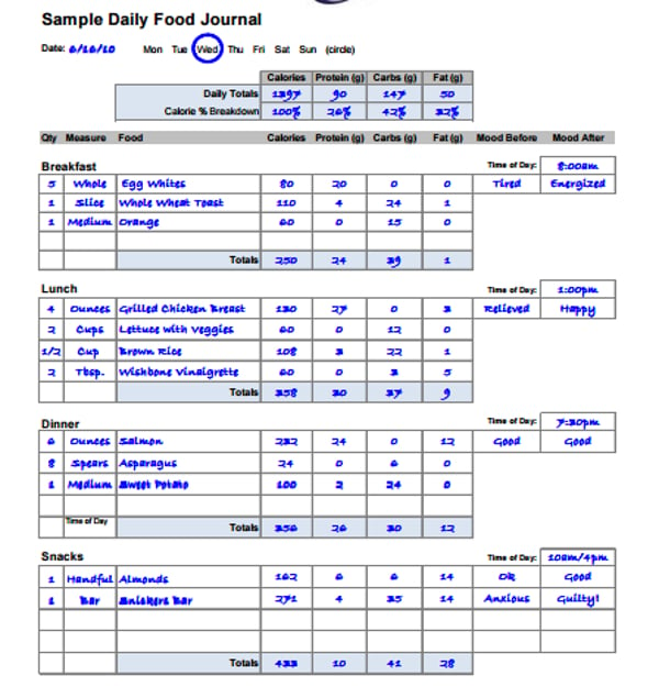 13+ Food Journal Templates - PDF, Docs, Word, ID, AI, Publisher, Pages