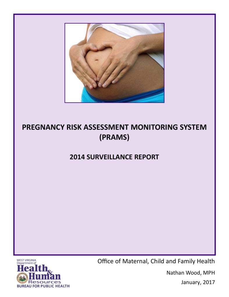 7+ Pregnancy Risk Assessment Templates