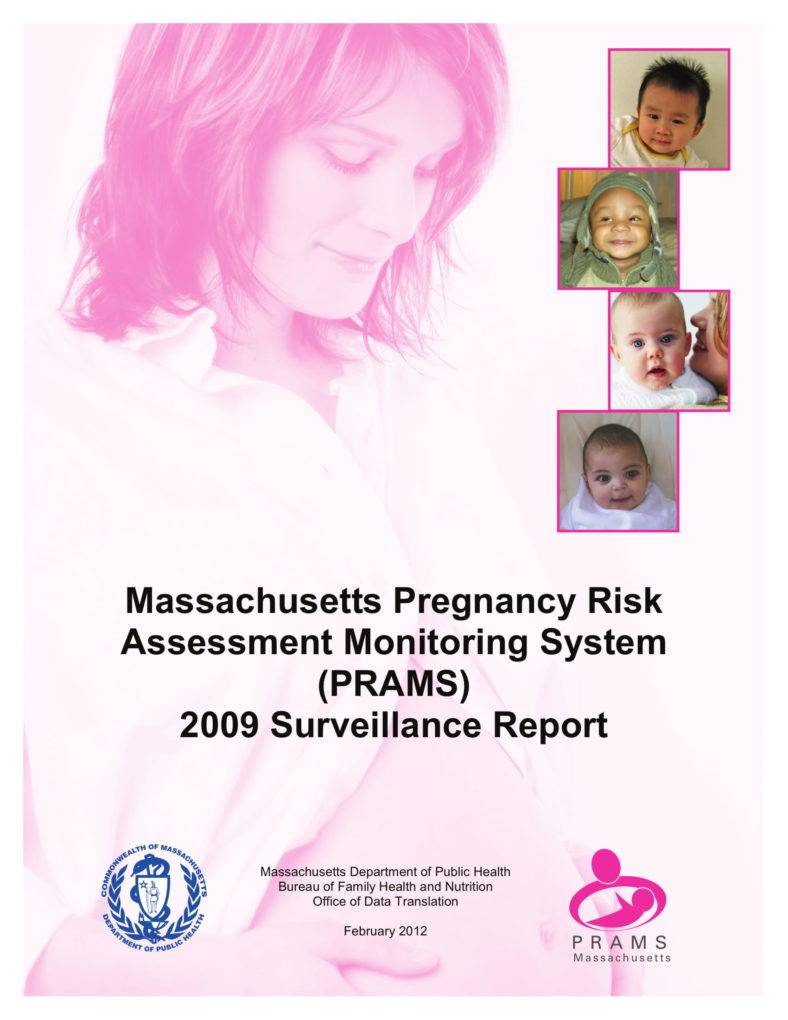 7+ Pregnancy Risk Assessment Templates