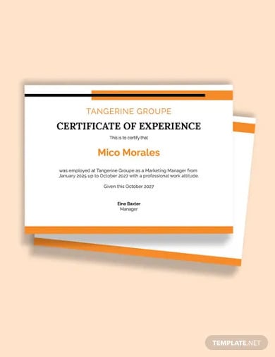 company job experience certificate template