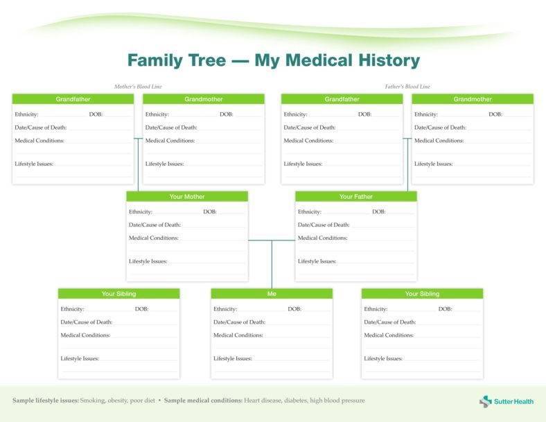 27  Printable Family Tree Templates PDF DOC Pages Google Docs