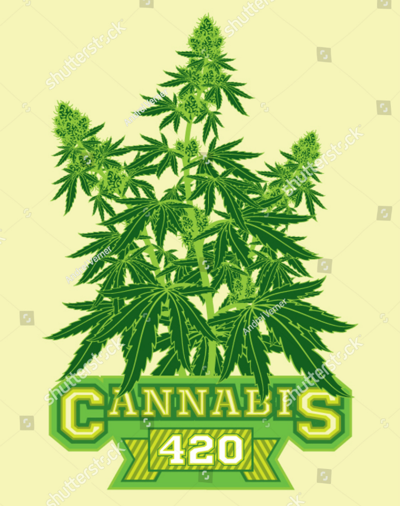 four twenty cannabis flyer template 788x998