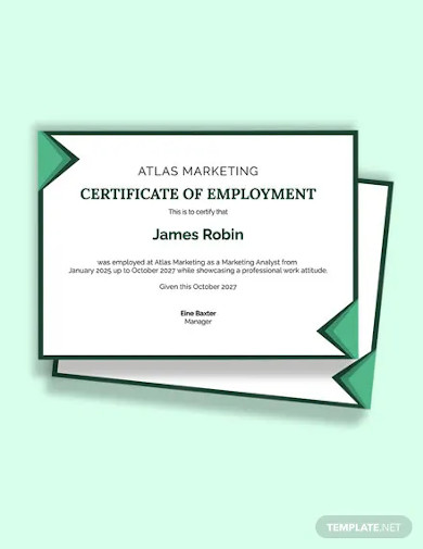 free employee job experience certificate template