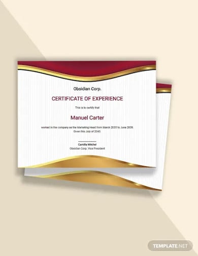 free job experience certificate template