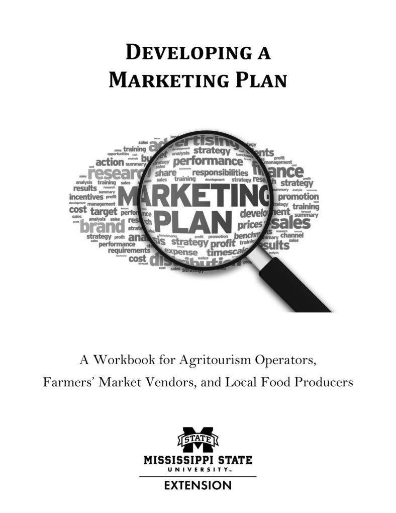 professional-marketing-plan-788x1020
