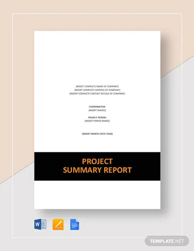 project summary report template