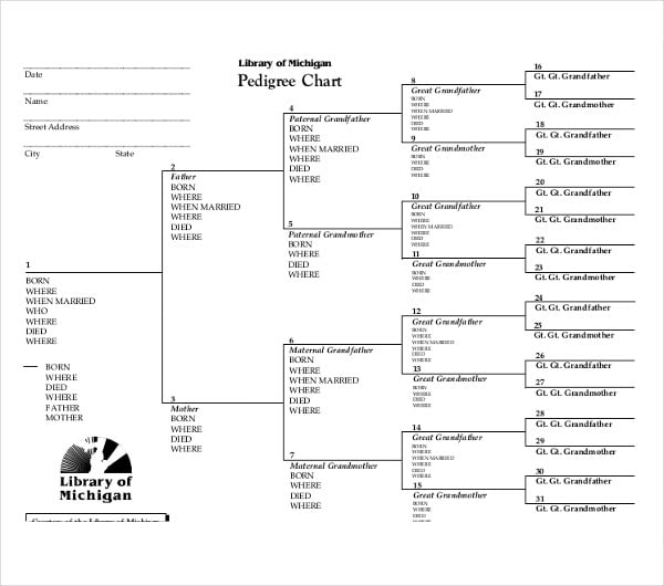 sample pedigree chart template