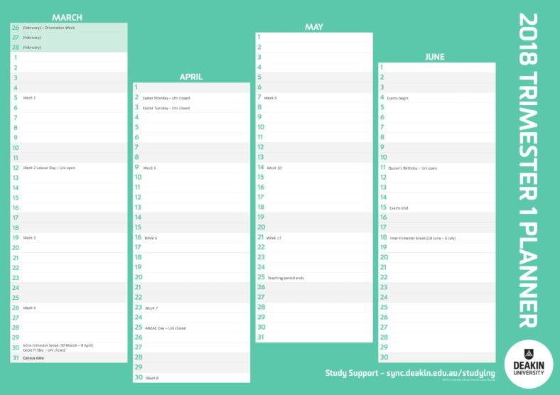 11+ Study Planner Templates