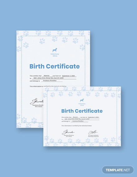 simple certificat de naissance d'animal de compagnie