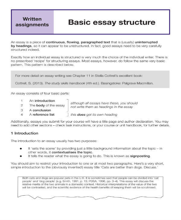 english essay standards