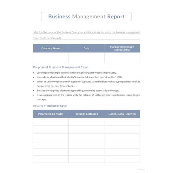 38  Monthly Management Report Templates PDF DOC Excel Free