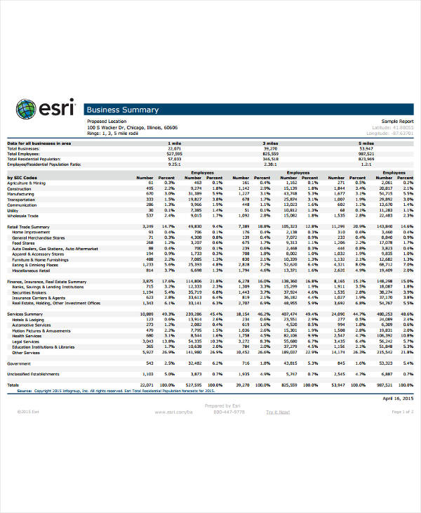 business summary report template