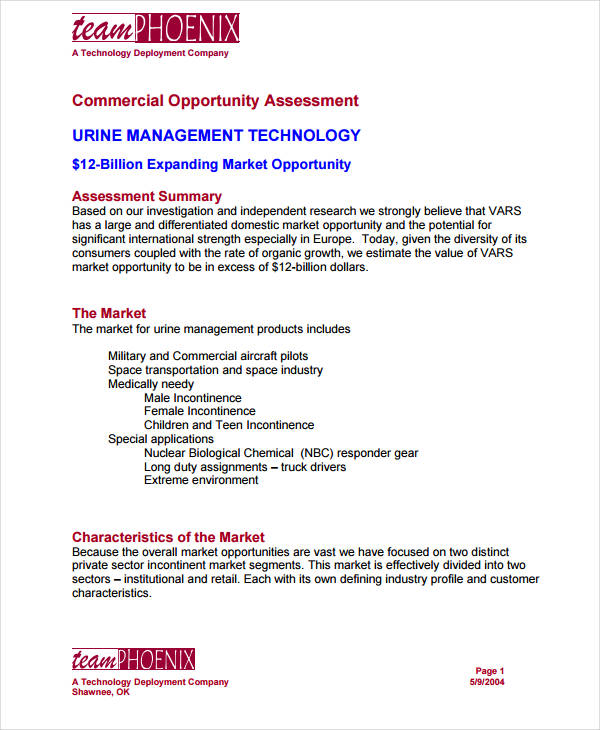 commercial market opportunity assessment