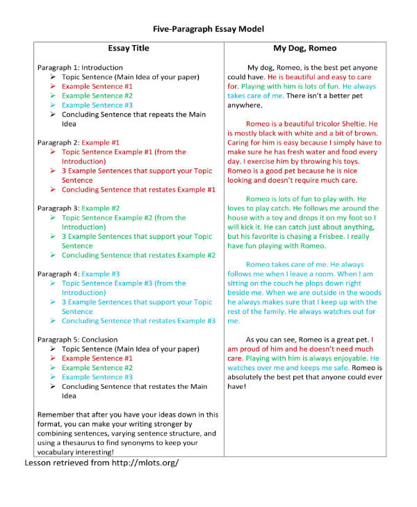 examples of good 5 paragraph essays