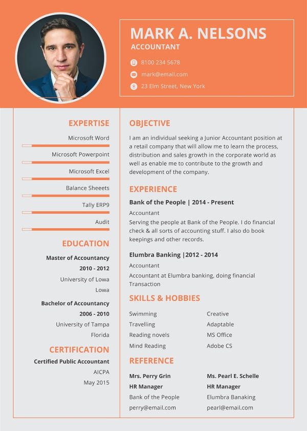 10+ Accountant CV Sample & Templates - PDF, PSD, DOC, AI, InDesign