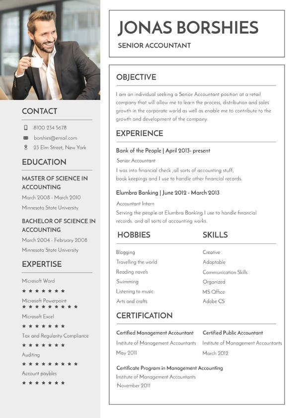 free professional banking resume template