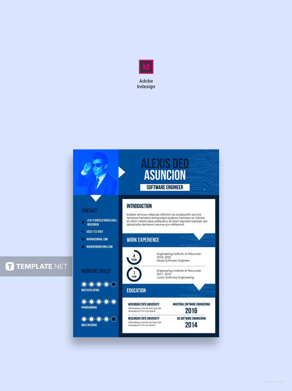 free software quality engineer cv template