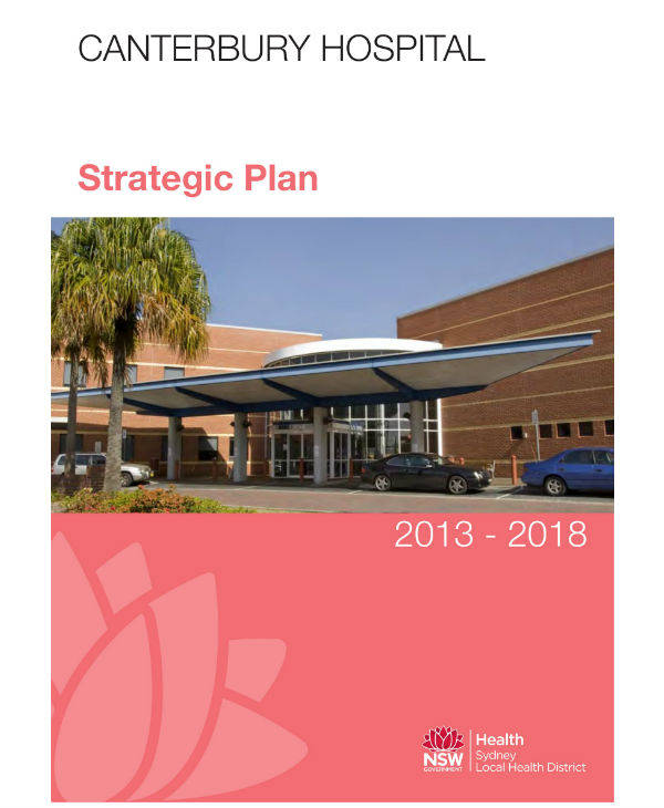 hospital information technology strategic plan example