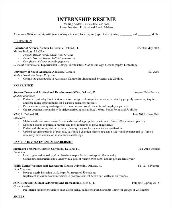 11+ Sample CV's for Internship - PDF