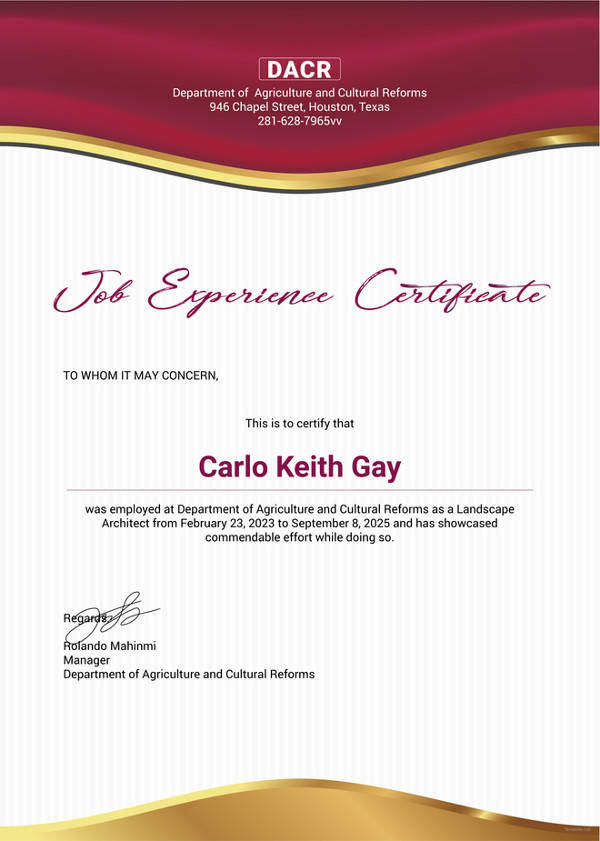 17+ Experience Certificate Templates - PDF, DOC | Free & Premium Templates