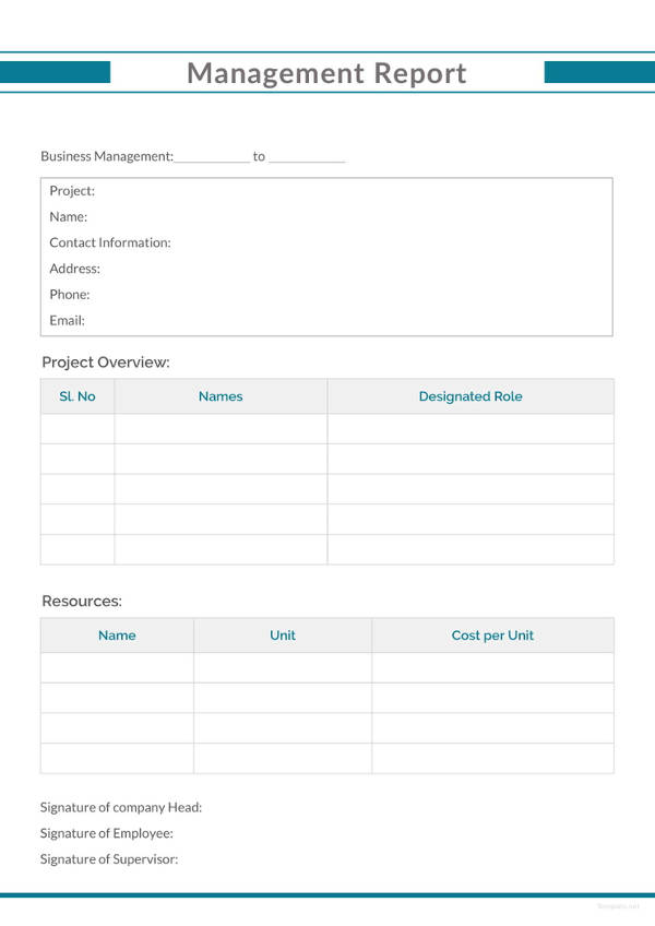 Free Management Report Template Word