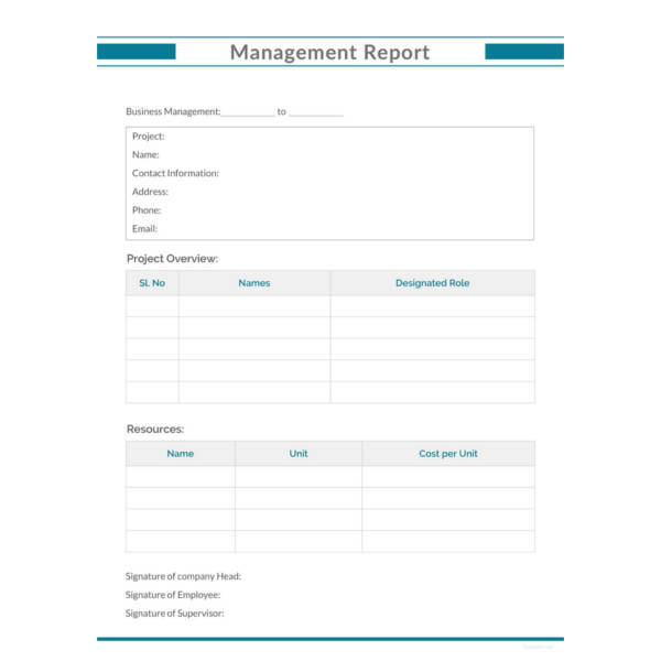 38+ Monthly Management Report Templates - PDF, DOC, Excel | Free ...