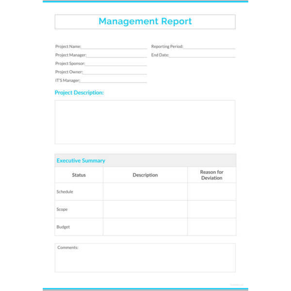 38+ Monthly Management Report Templates - PDF, DOC, Excel | Free ...