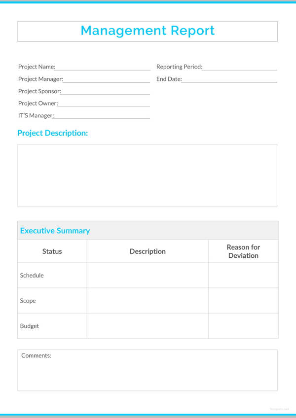 17  Sample Management Report Templates Free Premium Templates