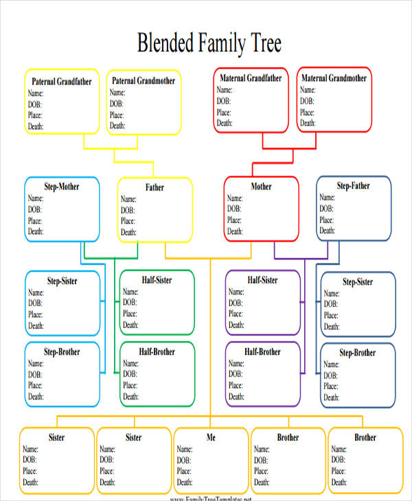 9+ Family Tree Template with Siblings - PDF, Doc | Free & Premium Templates