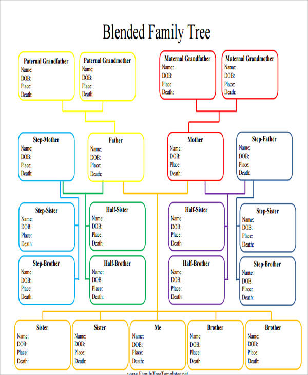 Free Family Tree With Siblings Template Of Family Tre - vrogue.co