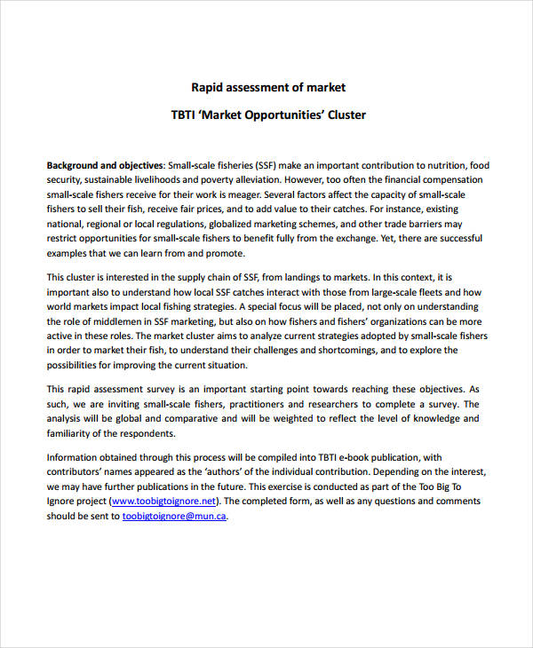 rapid market opportunity assessment