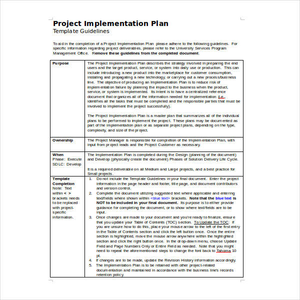 Implementation Plan Example 8104