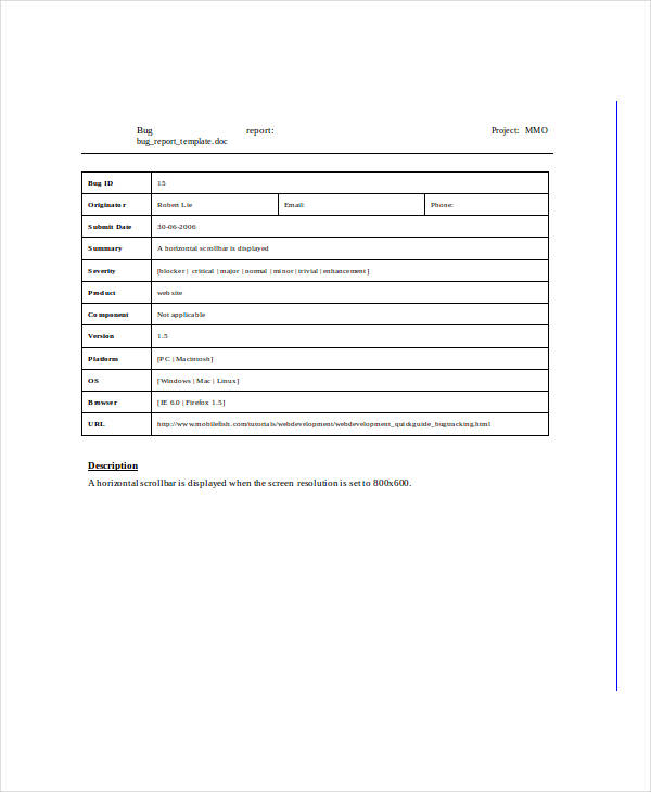 standard bug report template