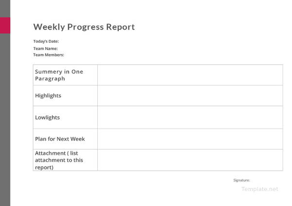 weekly progress report 