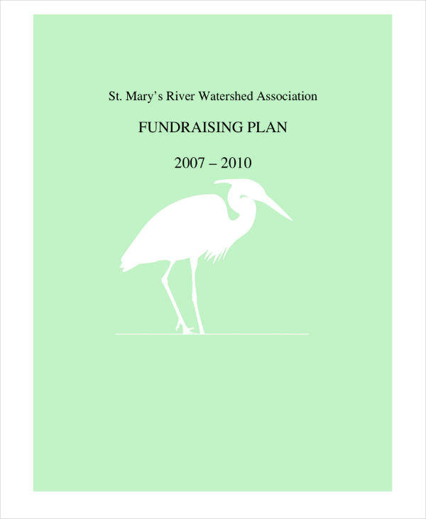 year fundraising plan sample