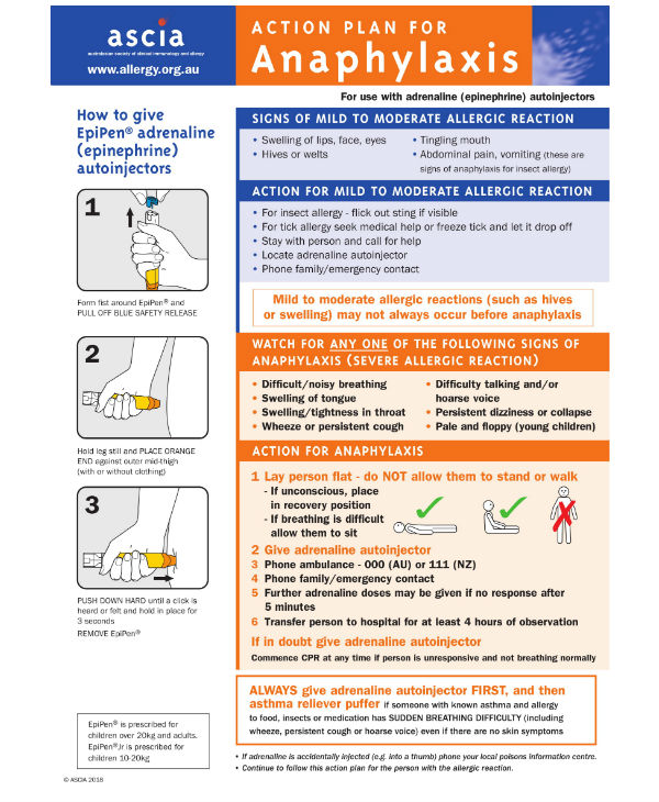 14 Allergy Action Plan Templates PDF