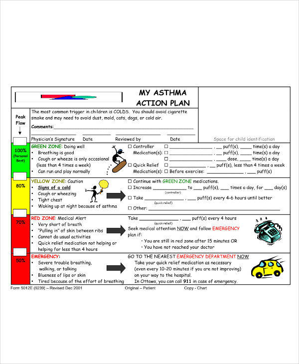 13 Asthma Action Plan Templates Pdf Free And Premium Templates