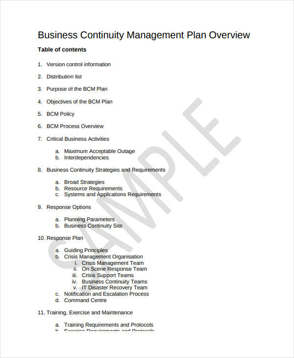 business continuity plan essay example
