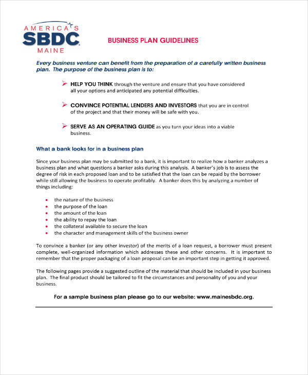 business plan sample guidelines