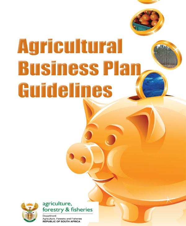 business plan guidelines 0