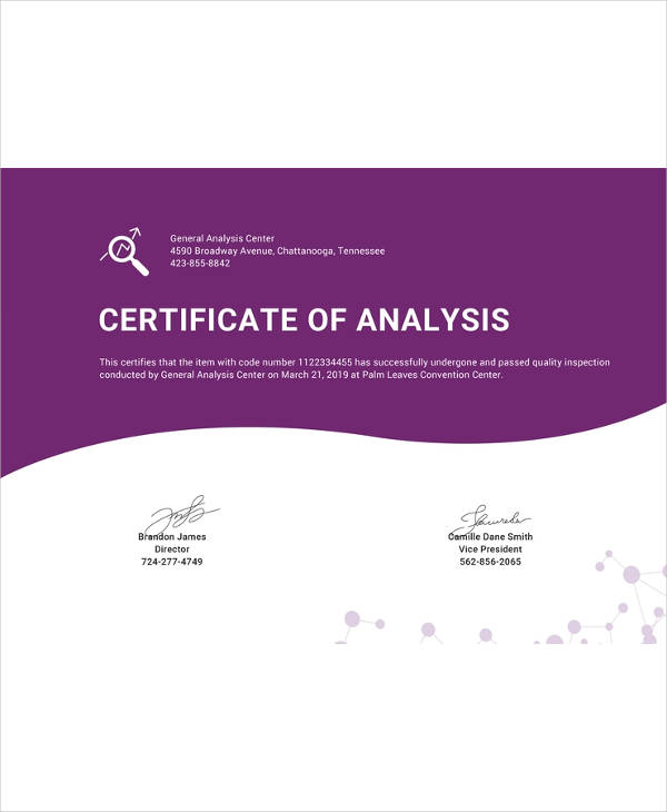 Certificate Template 45 Free Printable Word Excel PDF