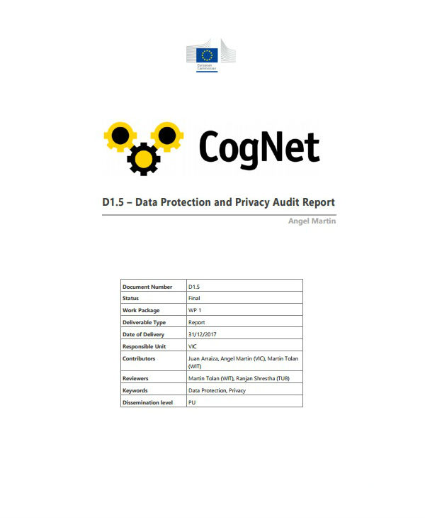 data protection and privacy audit report template
