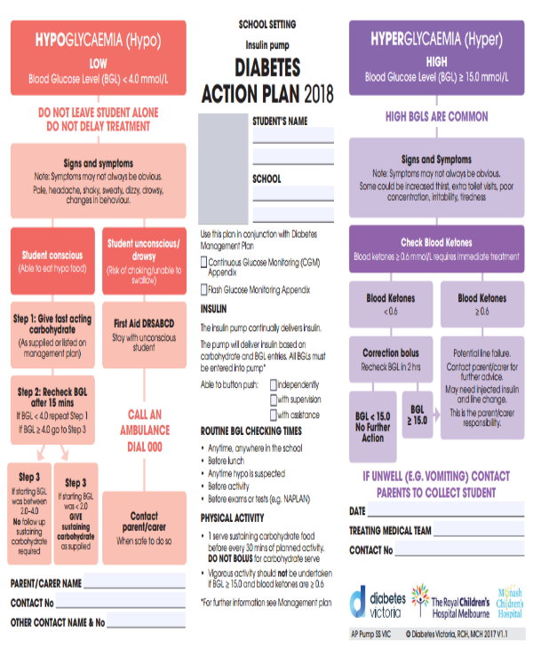 14 Diabetes Action Plan Templates PDF Word