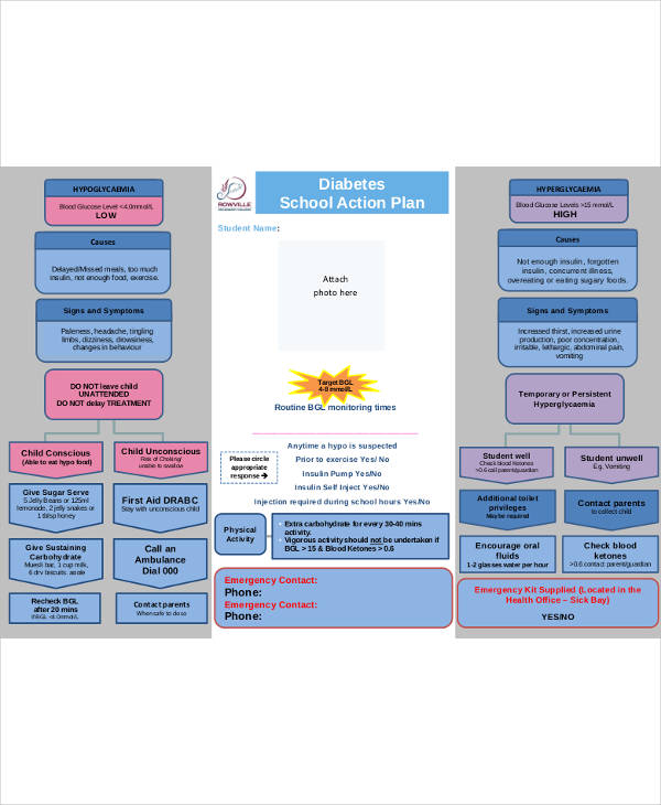 14 Diabetes Action Plan Templates Pdf Word Free And Premium Templates 2179