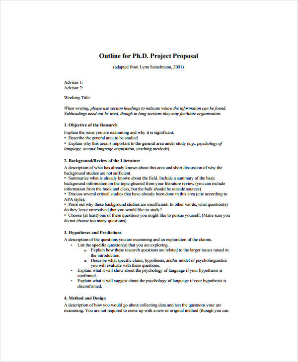 Doctor Project Proposal Outline