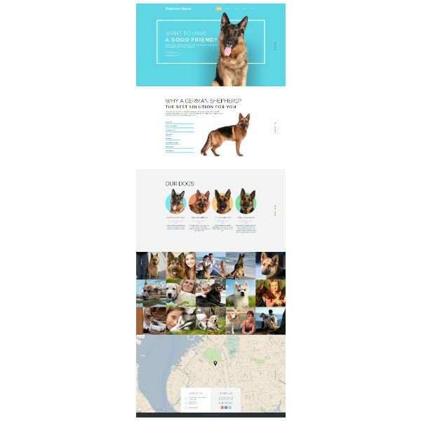 dog-responsive-website-template