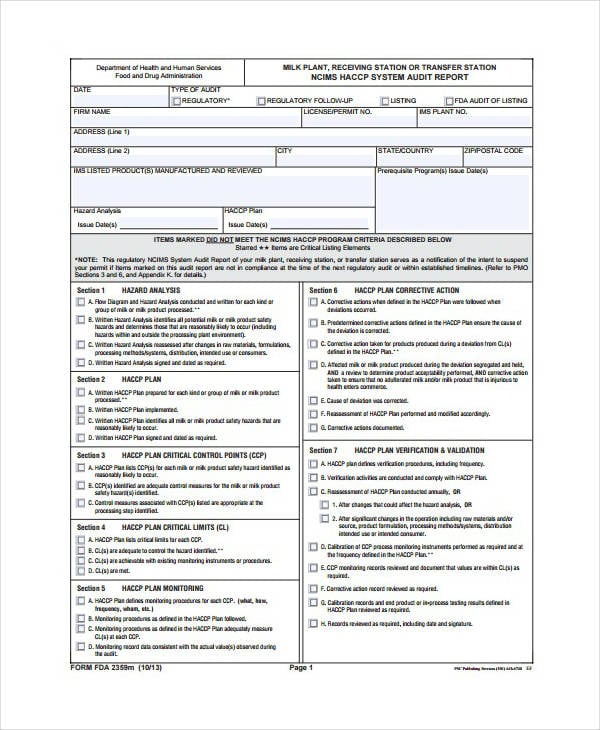 fda system audit report template