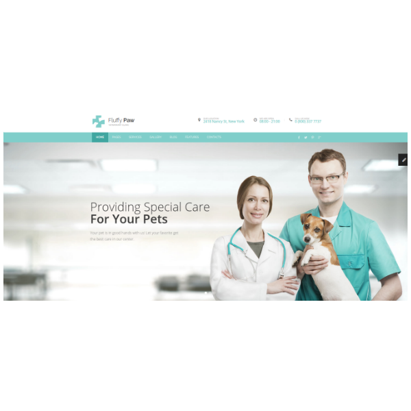 fluffypaw-pet-care-and-veterinary-html-template-with-visual-page-builder