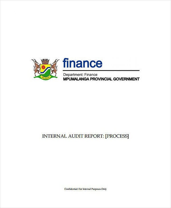 government internal audit report sample