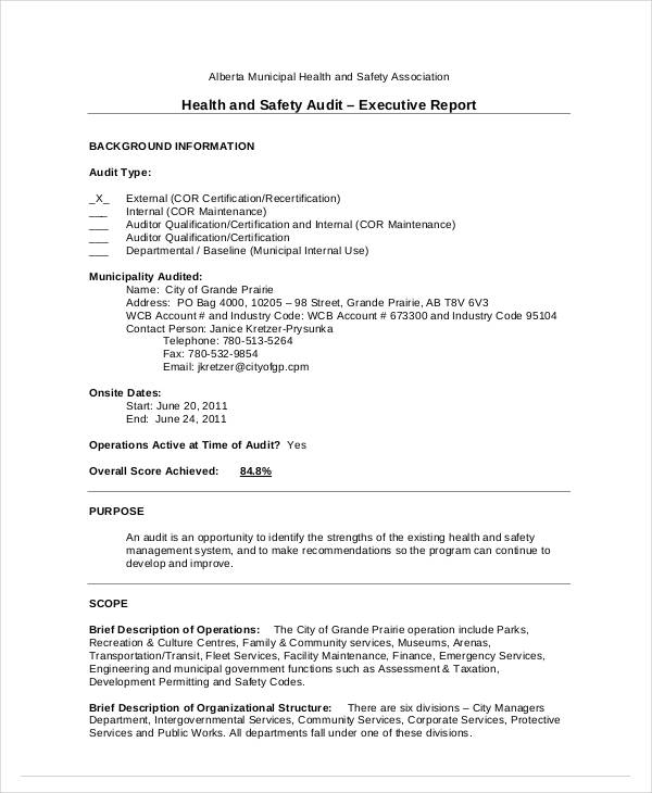 12+ Safety Audit Report Templates PDF